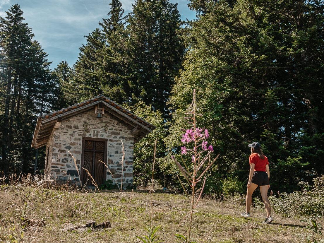 Les-Gets-Summer-Mountain-Cabin-Walker-Cropped