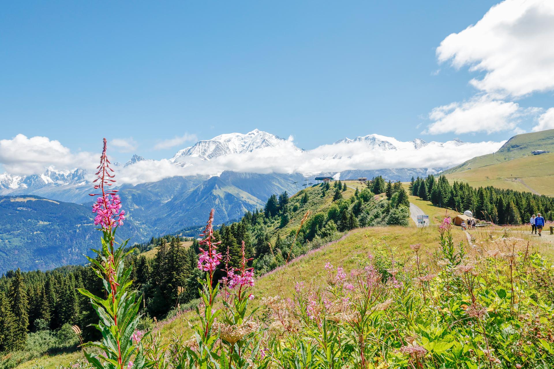 Saint-Gervais-Rolling-Alpine-Meadow-Hike
