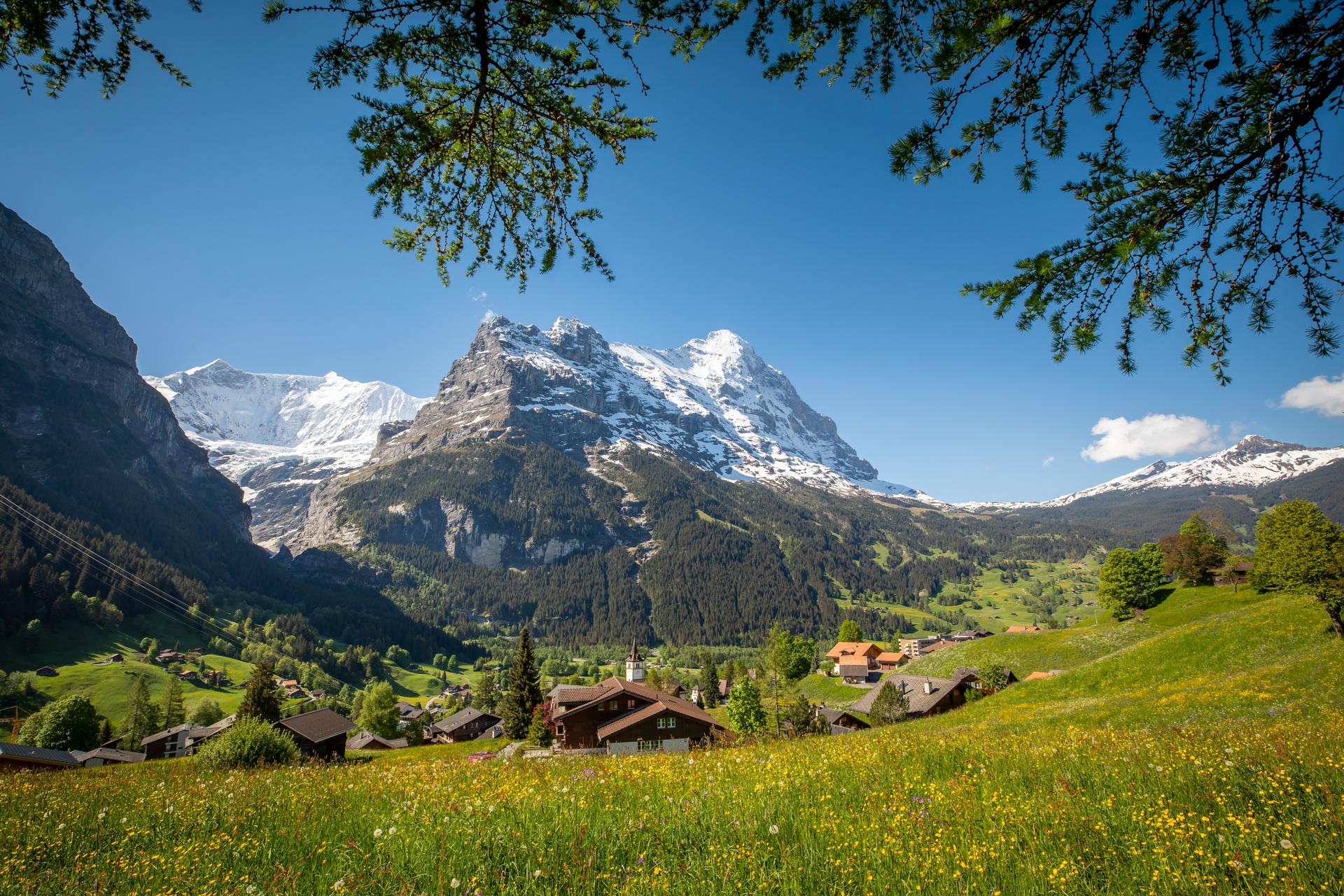Grindelwald-Resort-Image-Summer