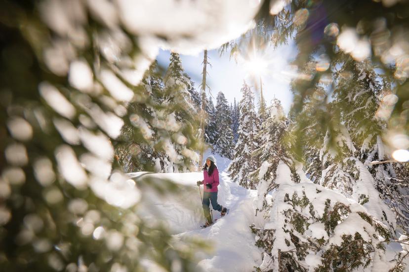 Whistler ski resort